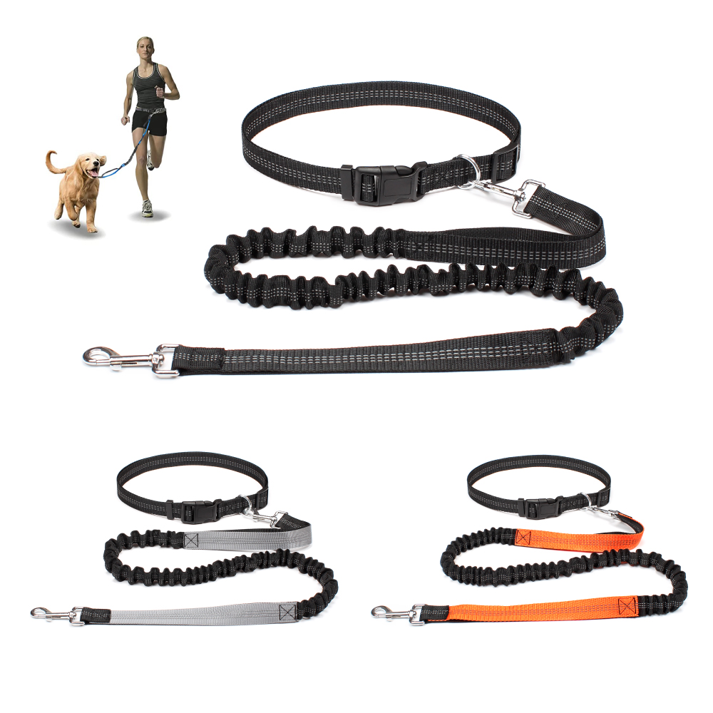 สายจูงสุนัขแบบแฮนด์ฟรีสำหรับพา - Running Gear Organizer บทวิจารณ์และราคา
