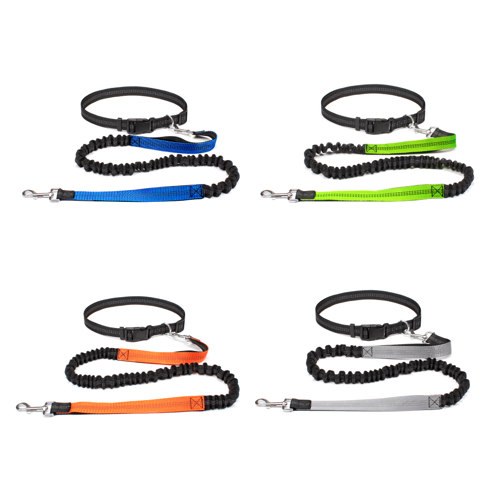 สายจูงสุนัขแบบแฮนด์ฟรีสำหรับพา - Running Gear Organizer บทวิจารณ์และราคา